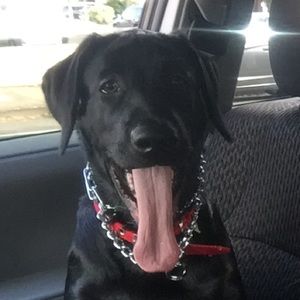 Meet your Posher, Tina